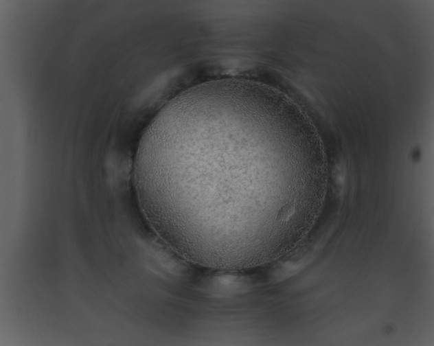 X0000093510657200710191312