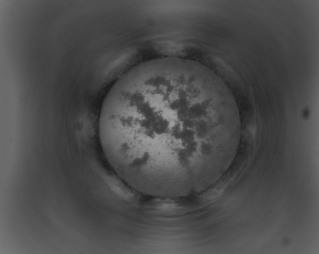 X0000093510658200710191312