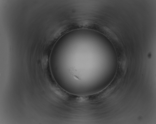 X0000093510660200710191312