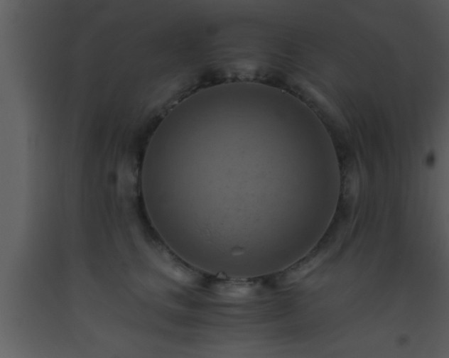 X0000093510661200710191312
