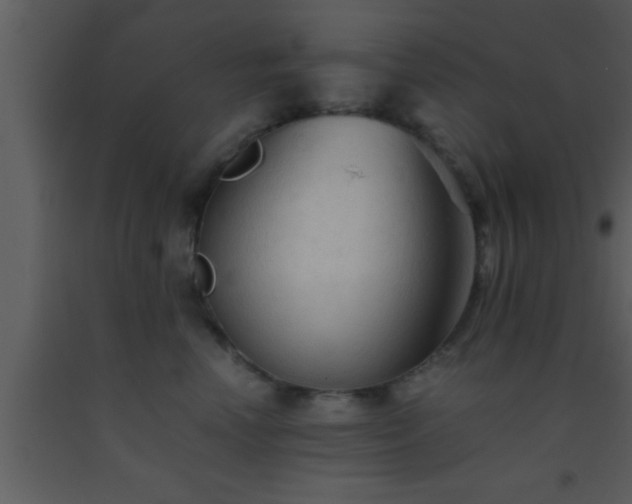 X0000093510666200710191312