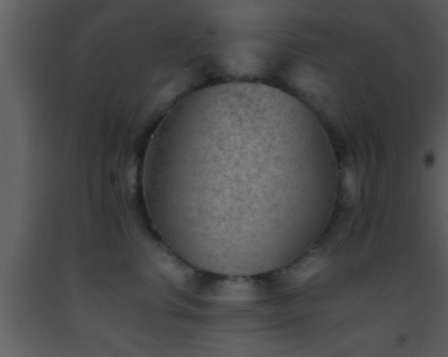 X0000093510668200710191312