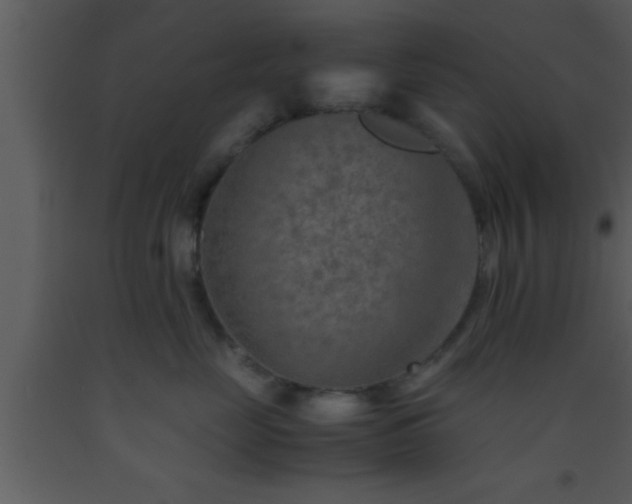 X0000093510669200710191312