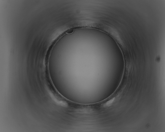 X0000093510674200710191311