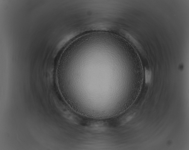X0000093510675200710191311