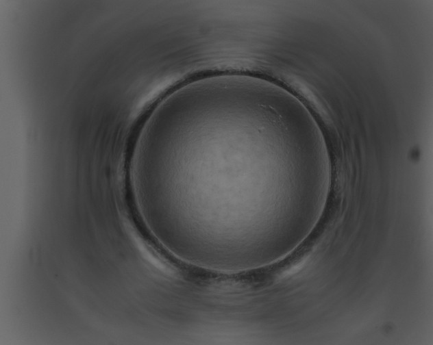 X0000093510677200710191311
