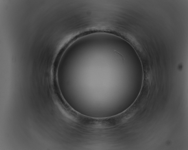 X0000093510678200710191311