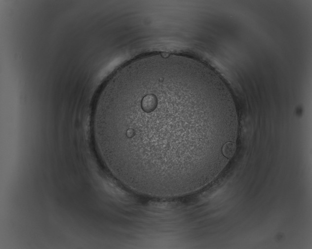 X0000093510679200710191311