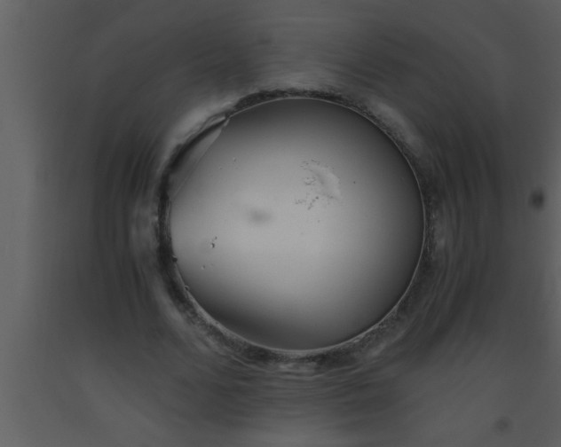 X0000093510680200710191311
