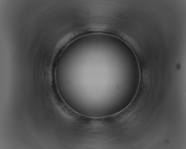 X0000093510682200710191311