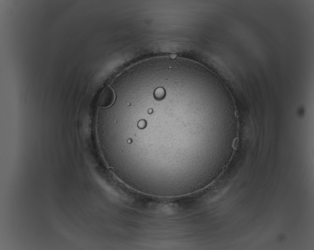 X0000093510683200710191311