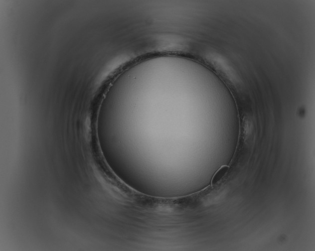 X0000093510684200710191311
