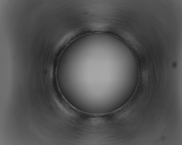 X0000093510686200710191311