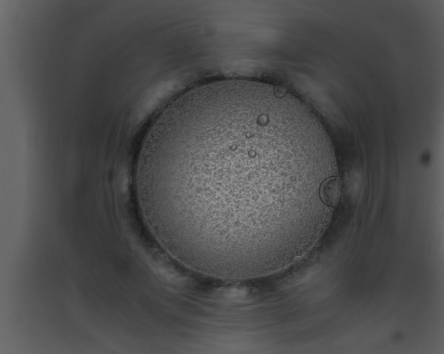 X0000093510687200710191311