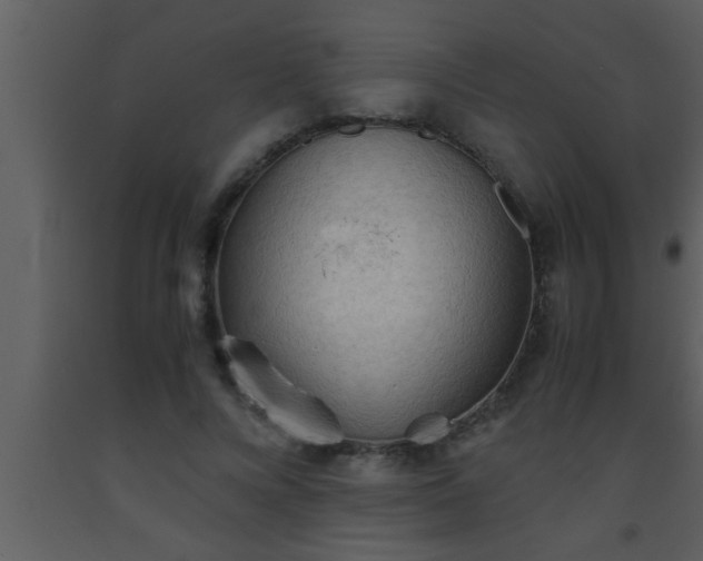 X0000093510688200710191311