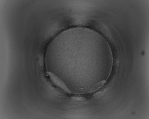 X0000093510689200710191311
