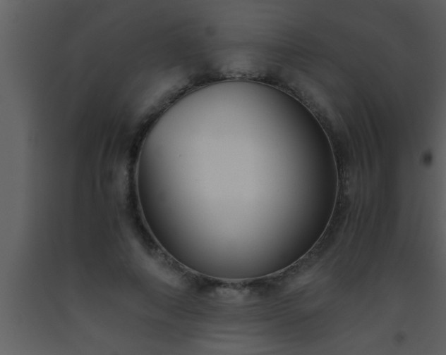 X0000093510690200710191311