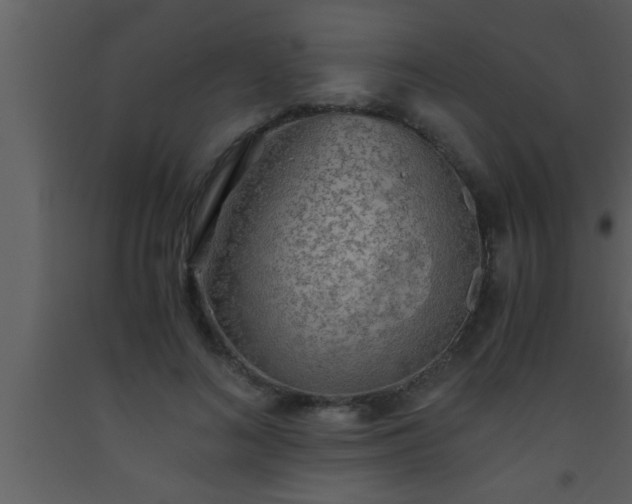X0000093510692200710191311