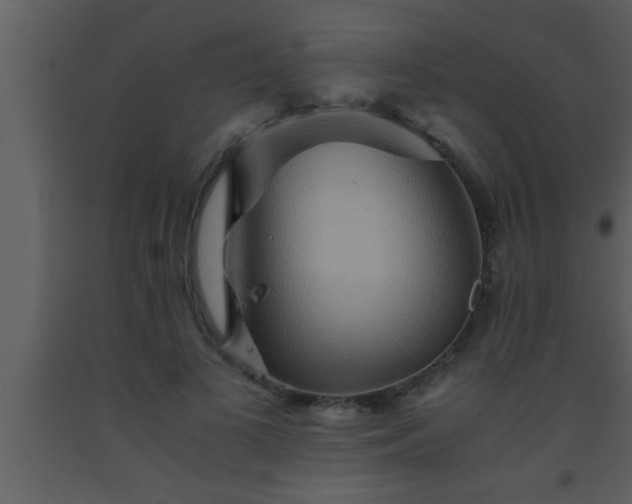 X0000093510693200710191311