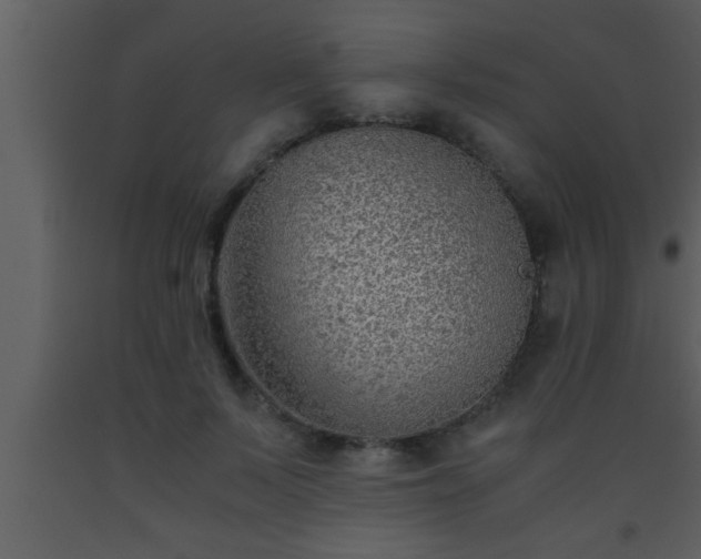 X0000093510695200710191311