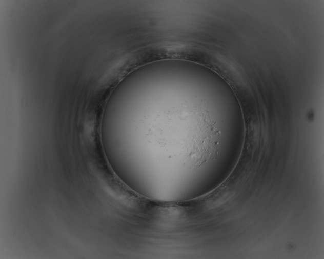 X0000093510698200710191311
