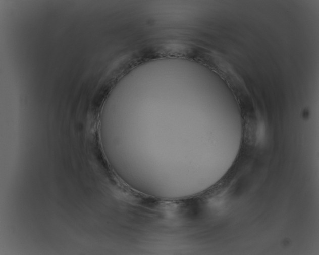 X0000093510701200710191311