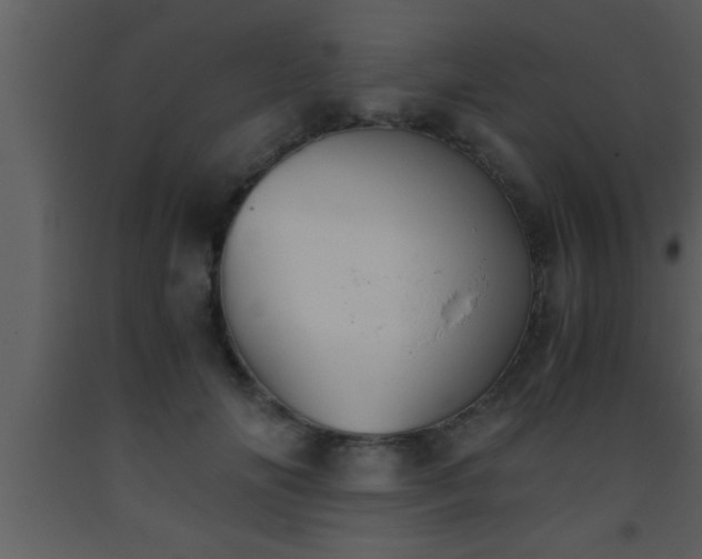 X0000093510702200710191311
