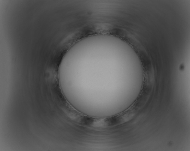 X0000093510705200710191311
