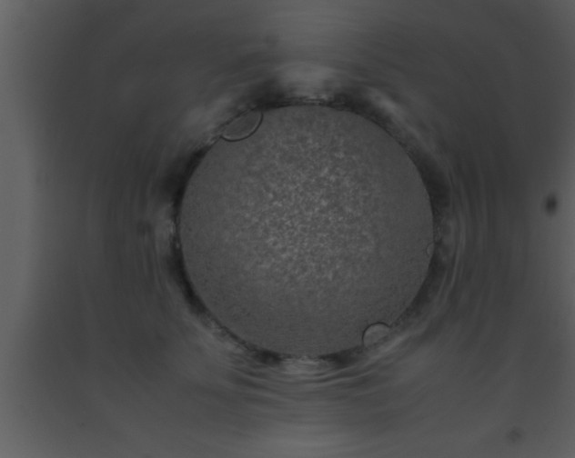 X0000093510707200710191311