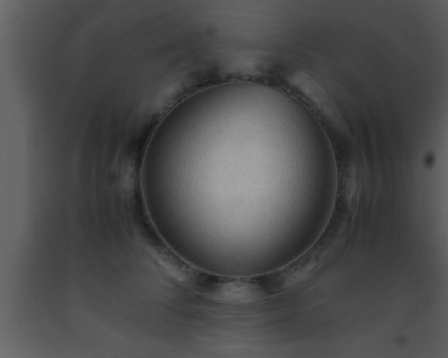 X0000093510708200710191311