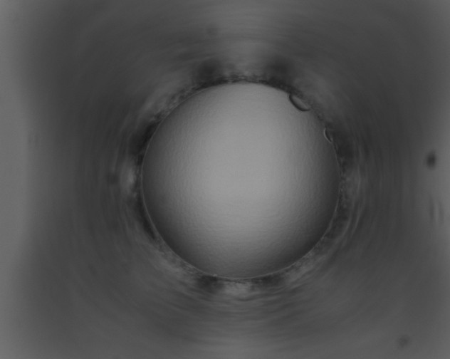 X0000093510709200710191311