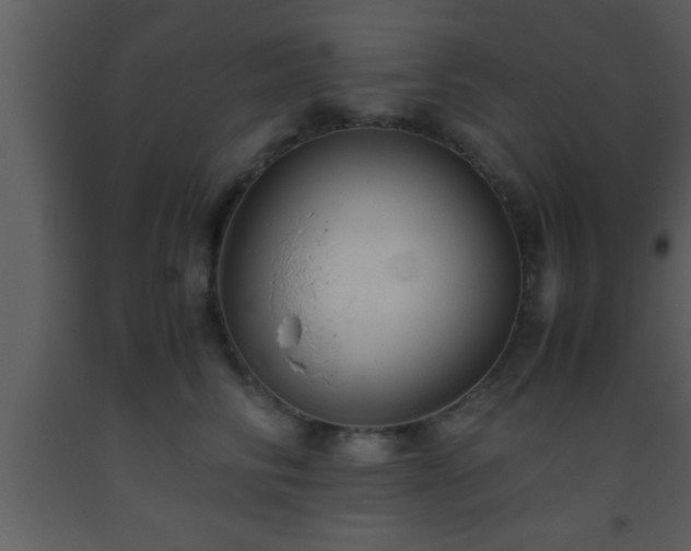 X0000093510710200710191311