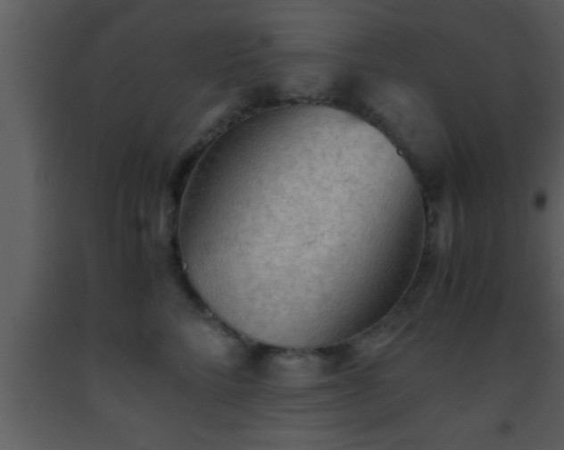 X0000093510712200710191311