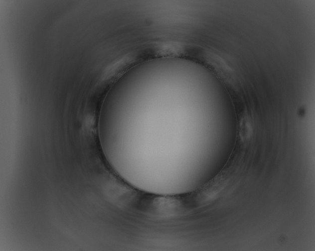 X0000093510714200710191311