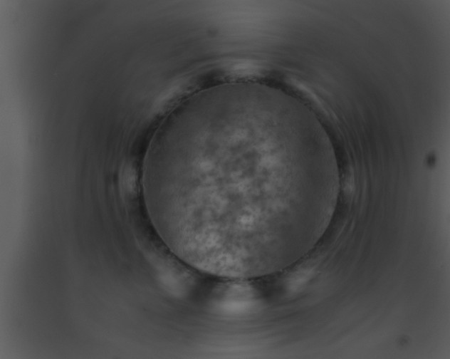 X0000093510715200710191311