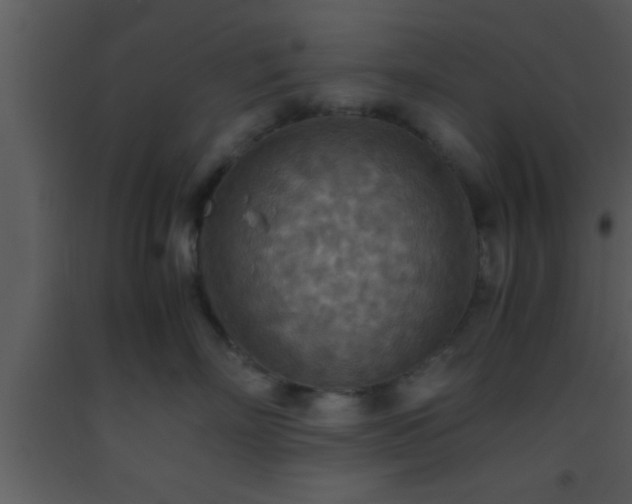 X0000093510718200710191311