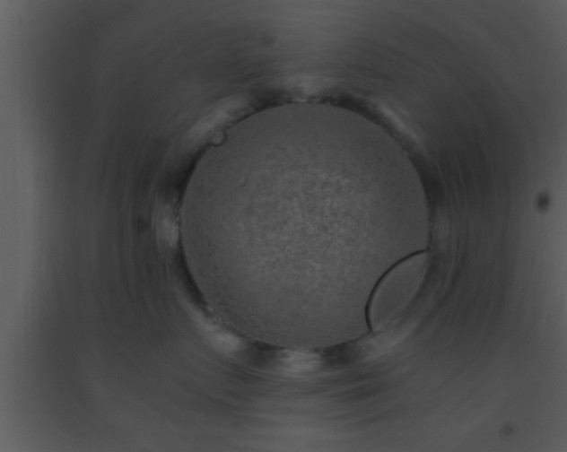 X0000093510719200710191311