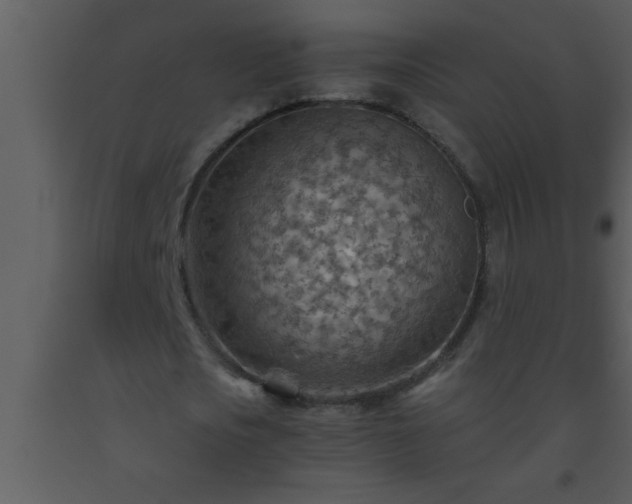 X0000093510721200710191310