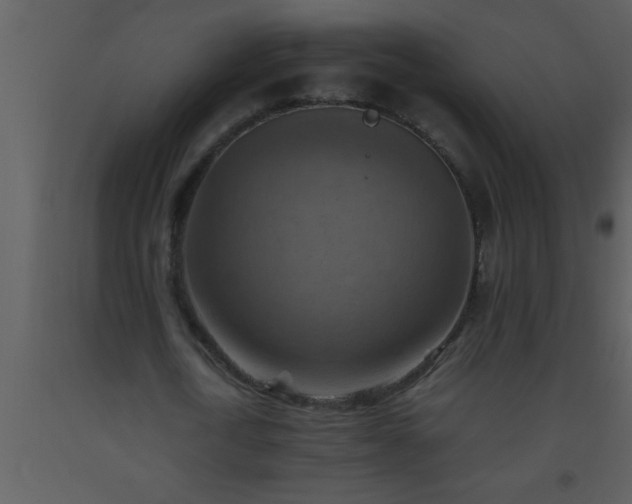 X0000093510722200710191310