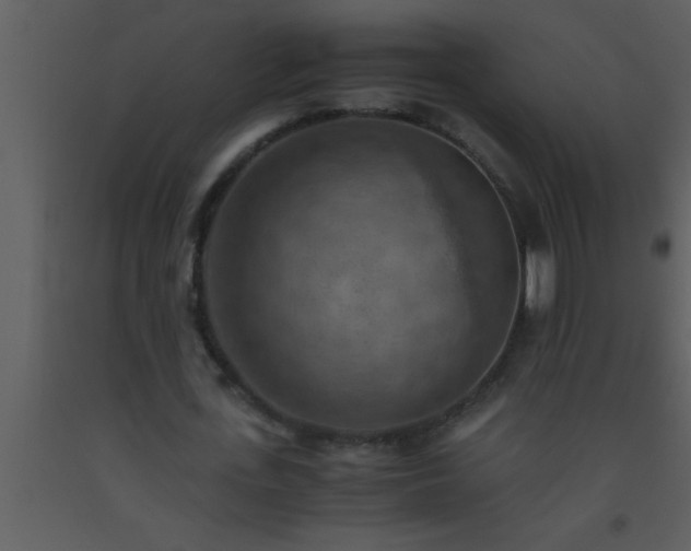 X0000093510723200710191310