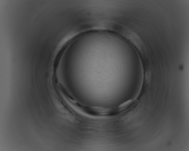 X0000093510724200710191310