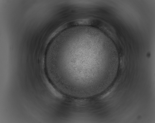 X0000093510725200710191310