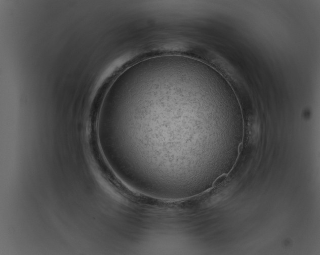 X0000093510726200710191310