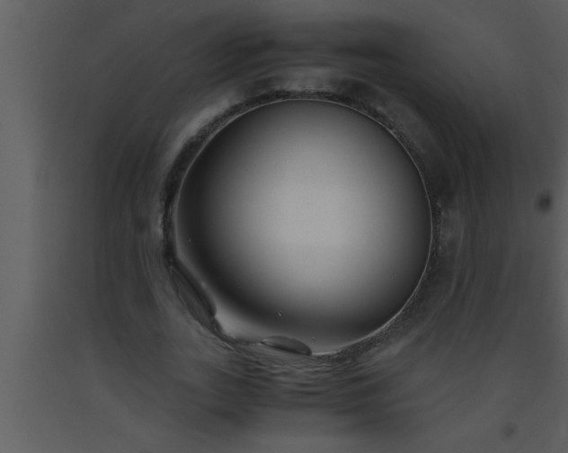 X0000093510727200710191310