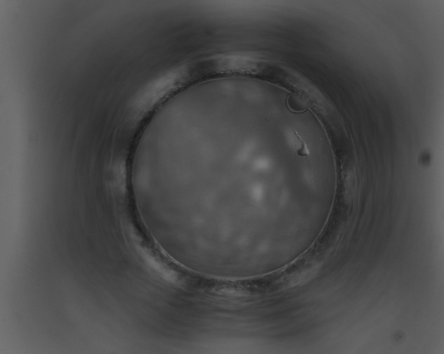 X0000093510729200710191310