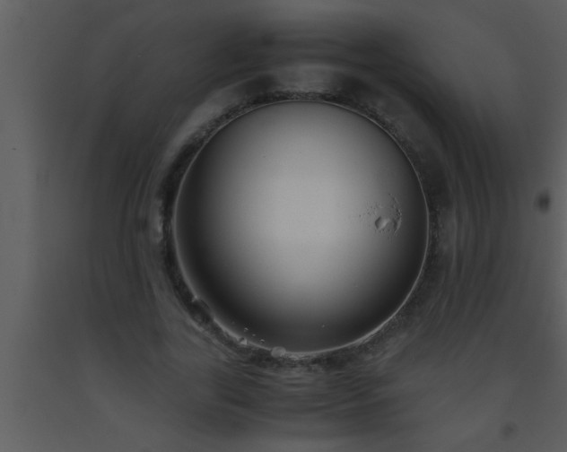X0000093510731200710191310