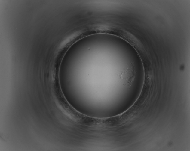 X0000093510732200710191310