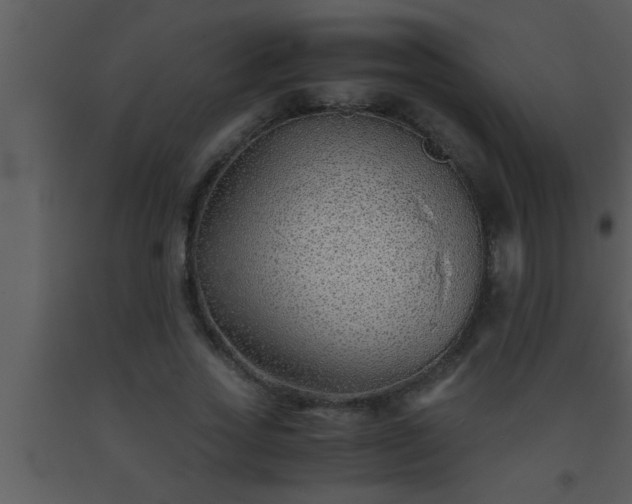 X0000093510733200710191310