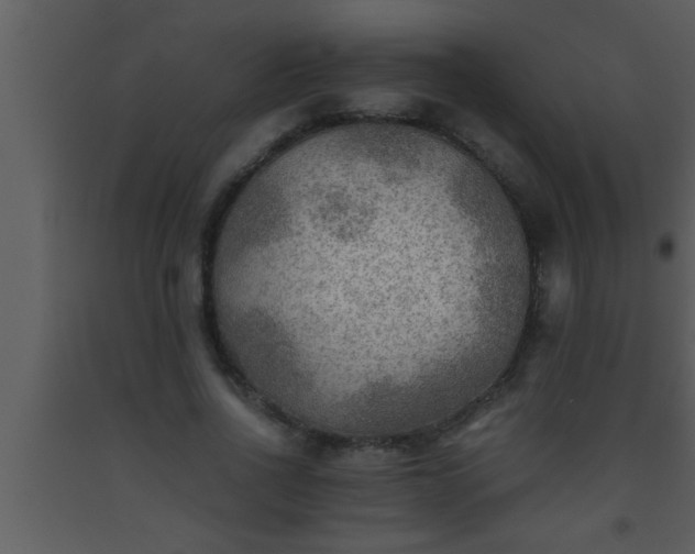 X0000093510734200710191310
