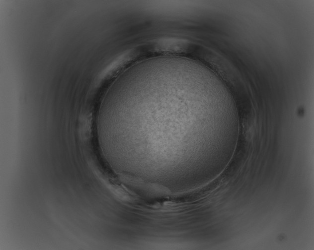 X0000093510735200710191310